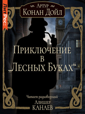 cover image of Приключение в «Лесных Буках»